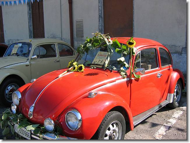 Foto successiva